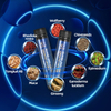 Huang Jing Cordyceps Ginseng Oyster +VE Plant Drink