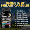 DUOZI Shilajit Extract Capsules | 8-in-1 Adaptogen Blend OEM Manufacturer