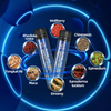 Huang Jing Cordyceps Ginseng Drink for Male Strength