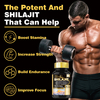 8-in-1 Shilajit Ashwa Rhodiola Energy Stamina Immune Support